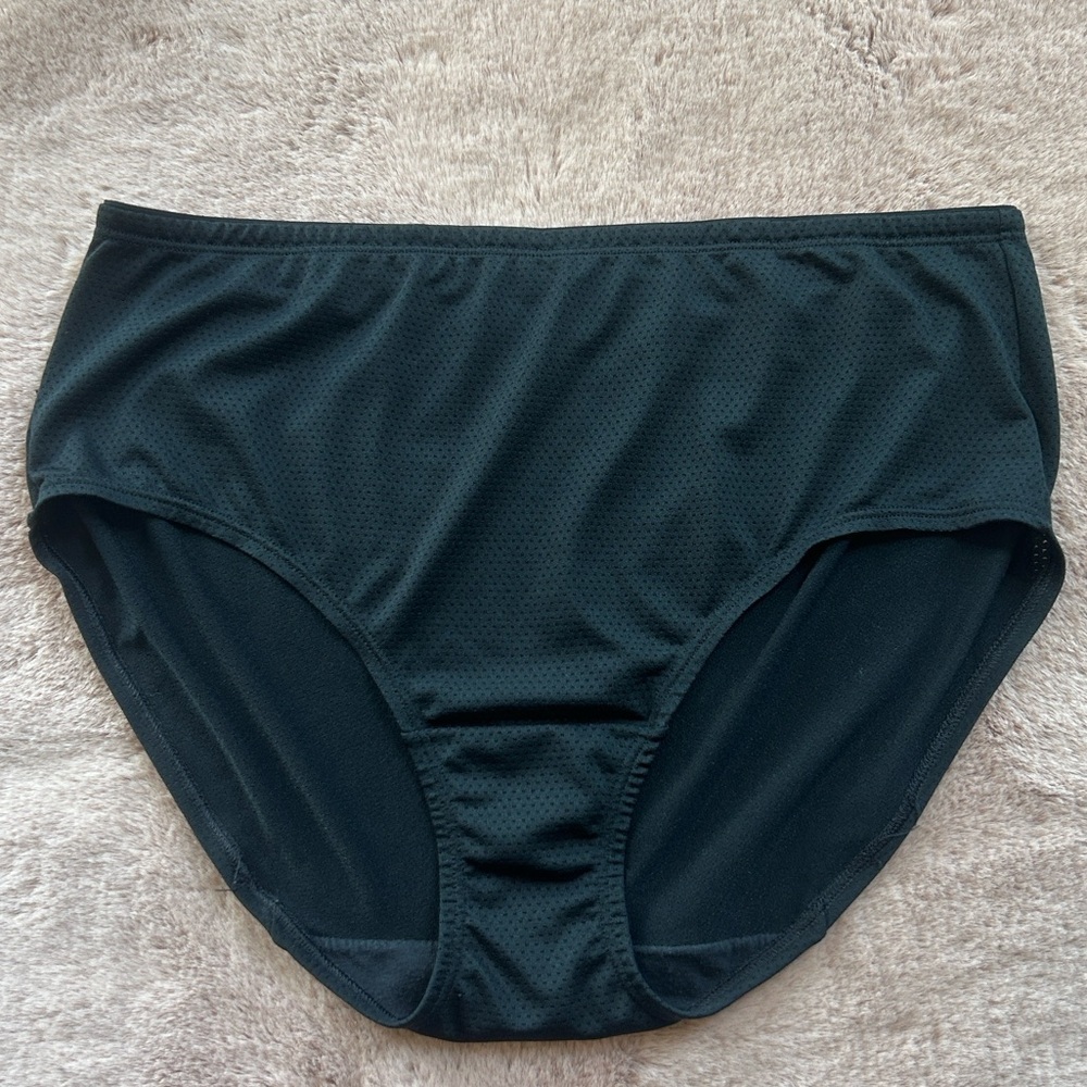 High Waisted Brief Panty 8